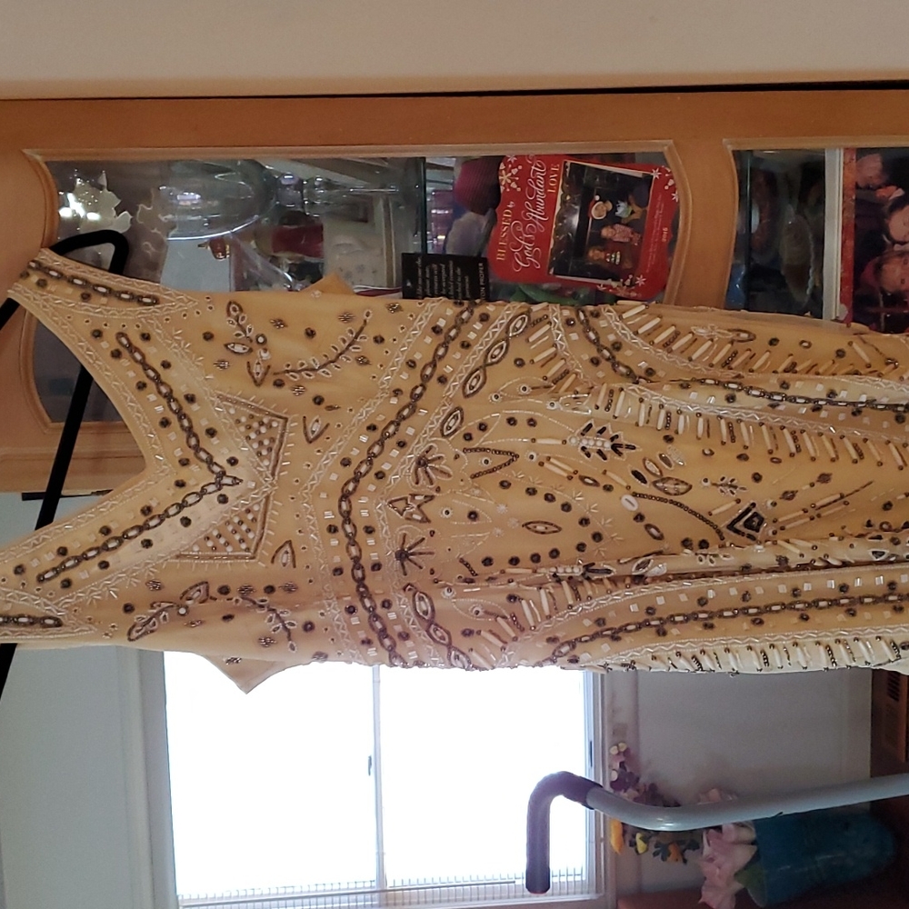 Beautiful shell and beaded dress